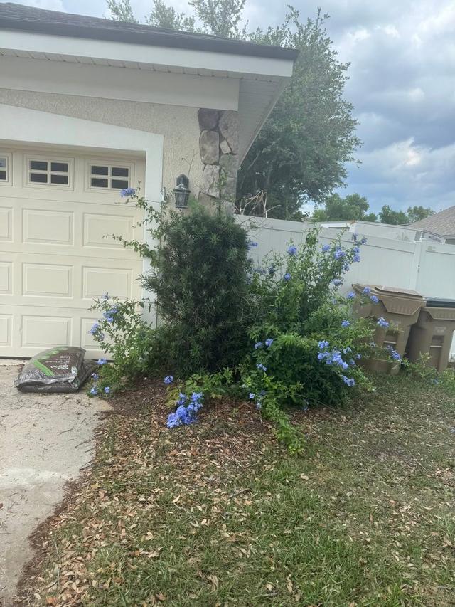 Mulch installed in a bed running alongside a driveway.