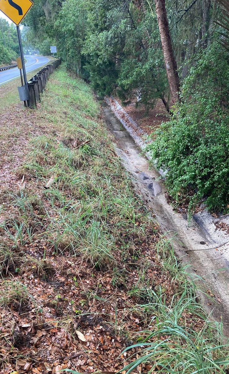 Fence-line clearing — Neuman's Property Services, Central Florida