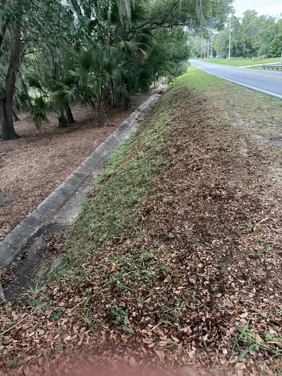 New plants & mulch along a fence — Neuman's Property Services, Central Florida