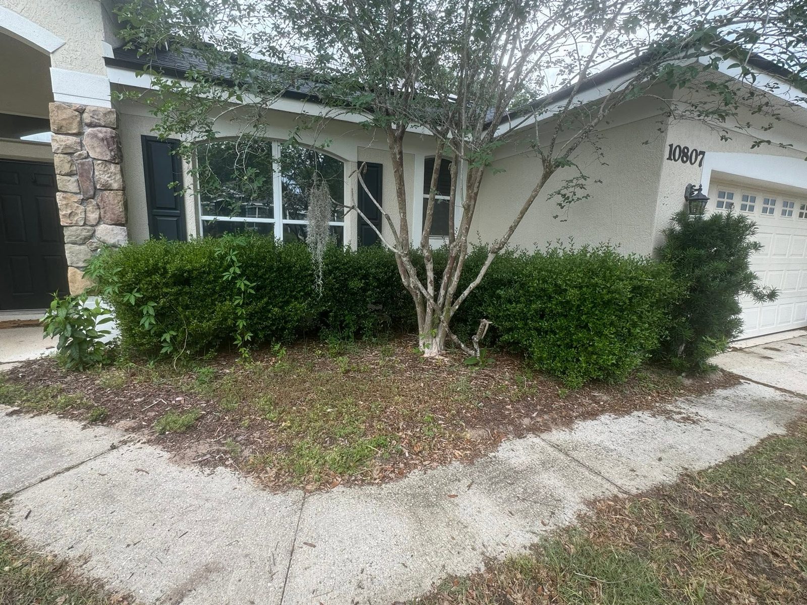 Front bed renovation — Reshaped beds, trimmed shrubs, and a tidy mulched finish.