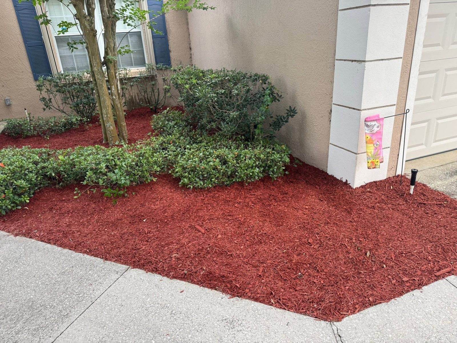 Red mulch bed refresh — Fresh red mulch and crisp edges in a foundation bed.