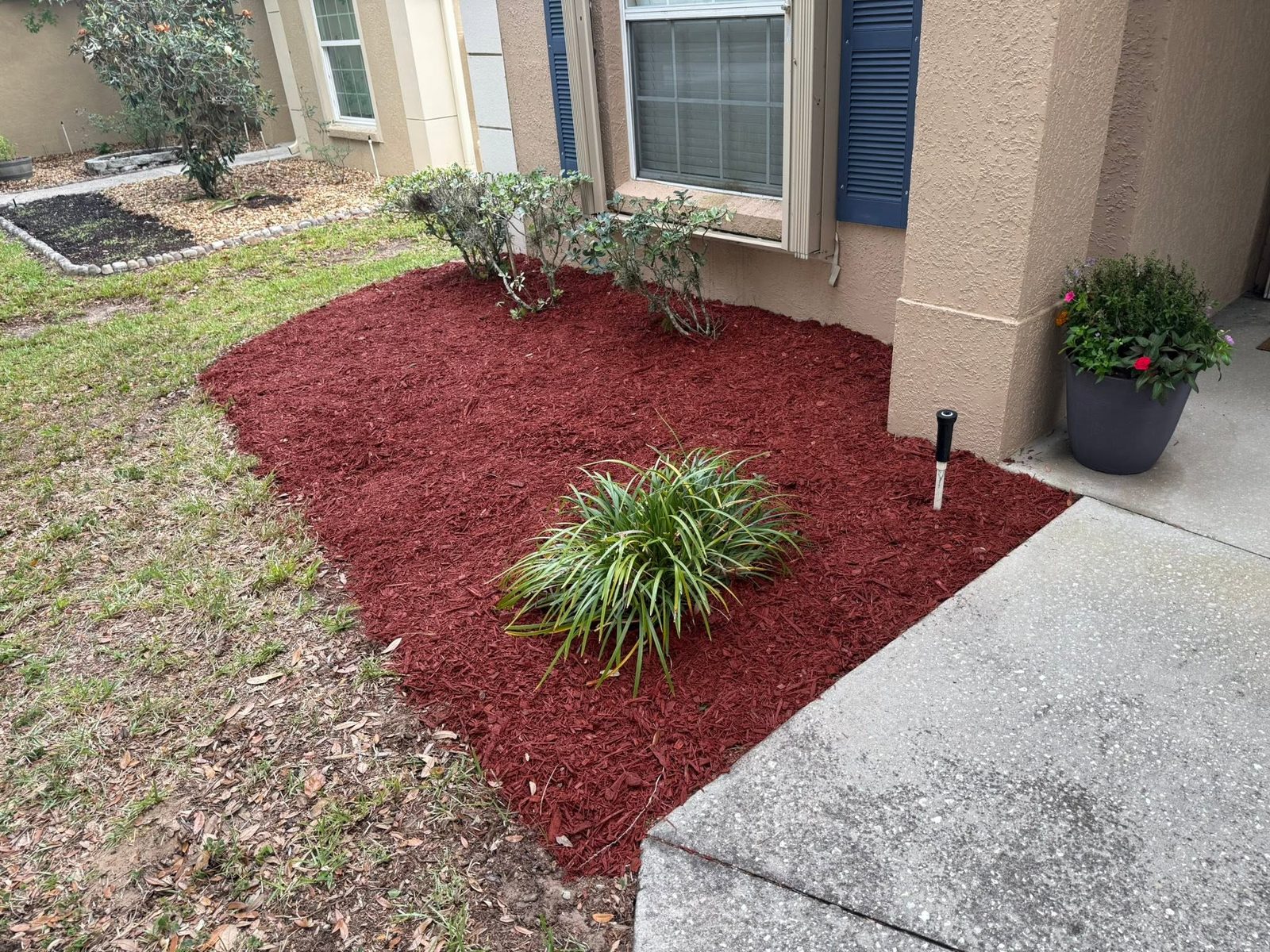 Mulch around foundation shrubs — Neuman's Property Services, Central Florida